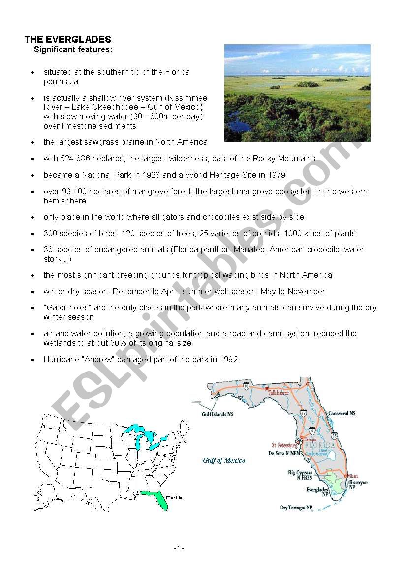 The Everglades worksheet