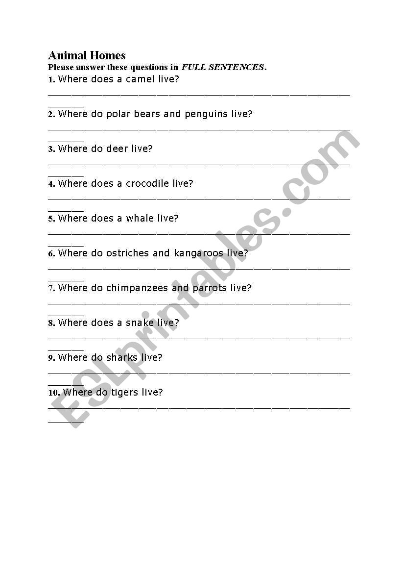 animals home worksheet