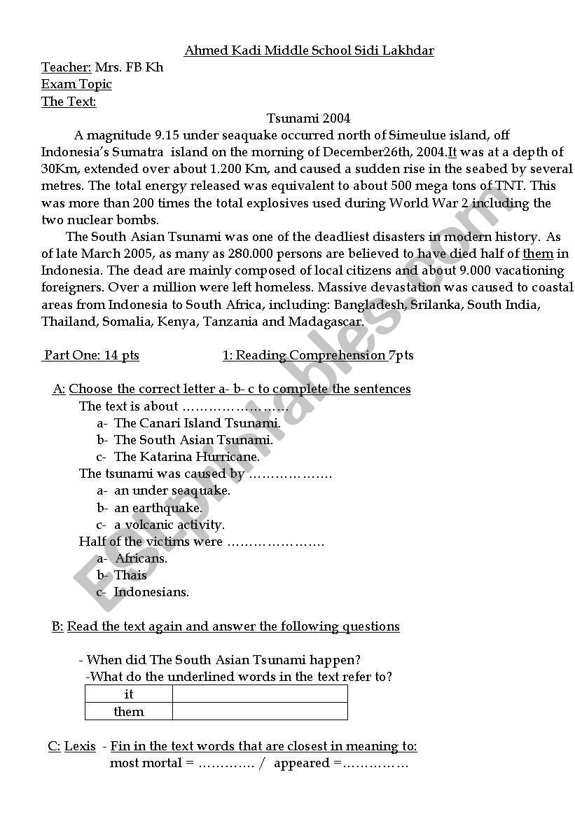 Exam sample Tsunami 2004 worksheet
