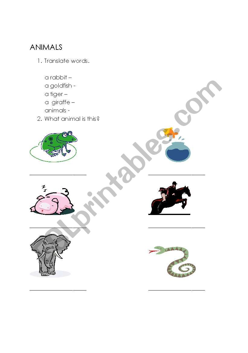 ANIMALS - short test worksheet