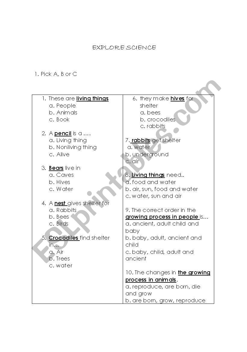 explore science worksheet