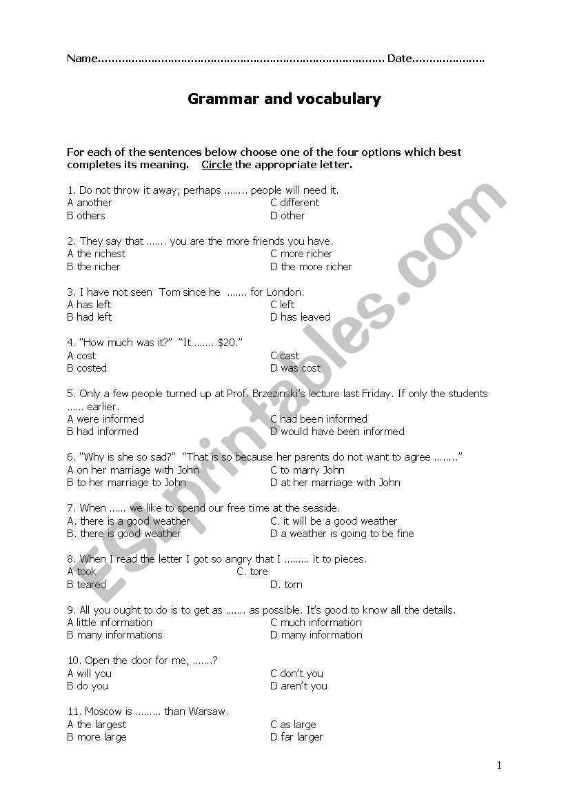 Grammar and Vocabulary TEST worksheet