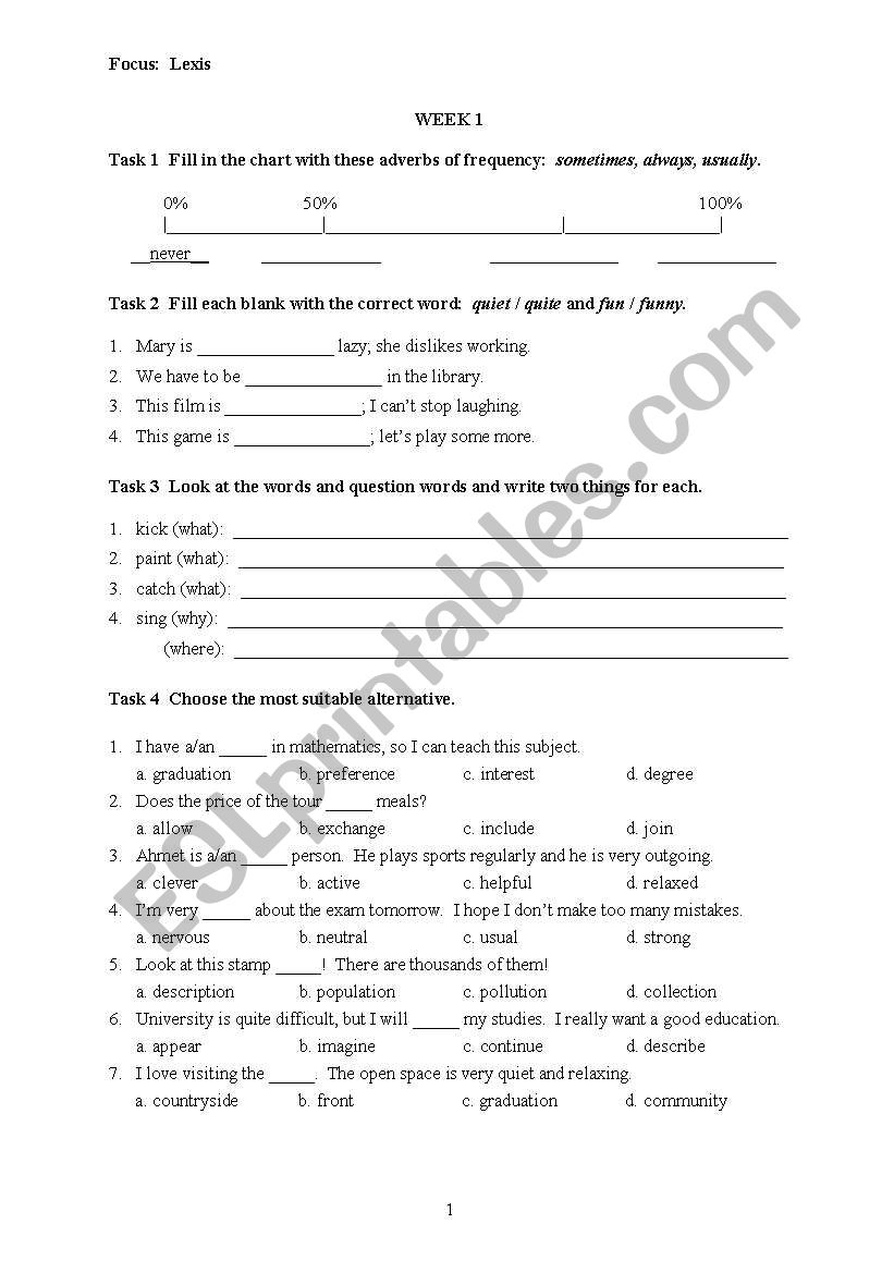 elementary worksheet worksheet