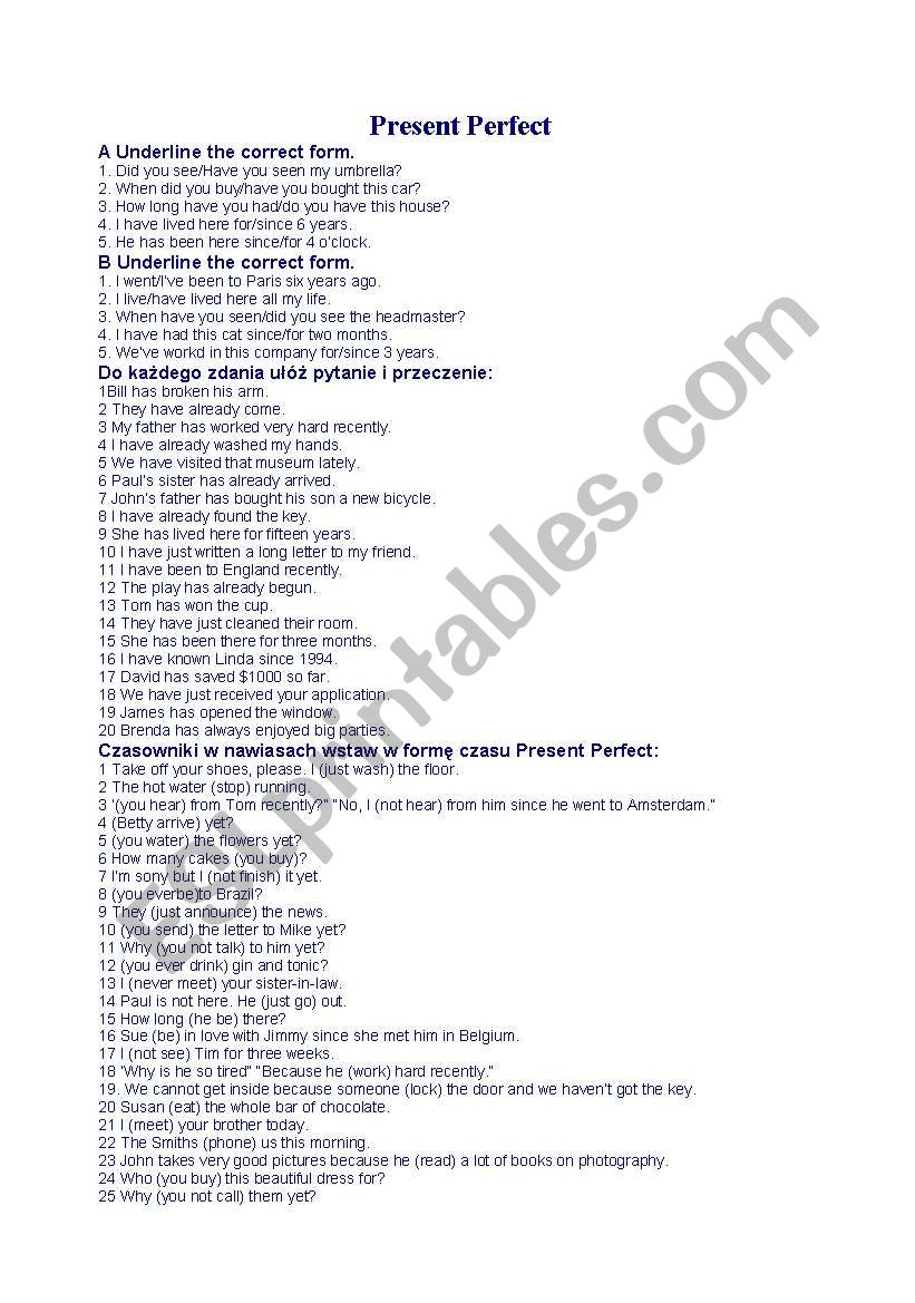 Present Perfect test worksheet