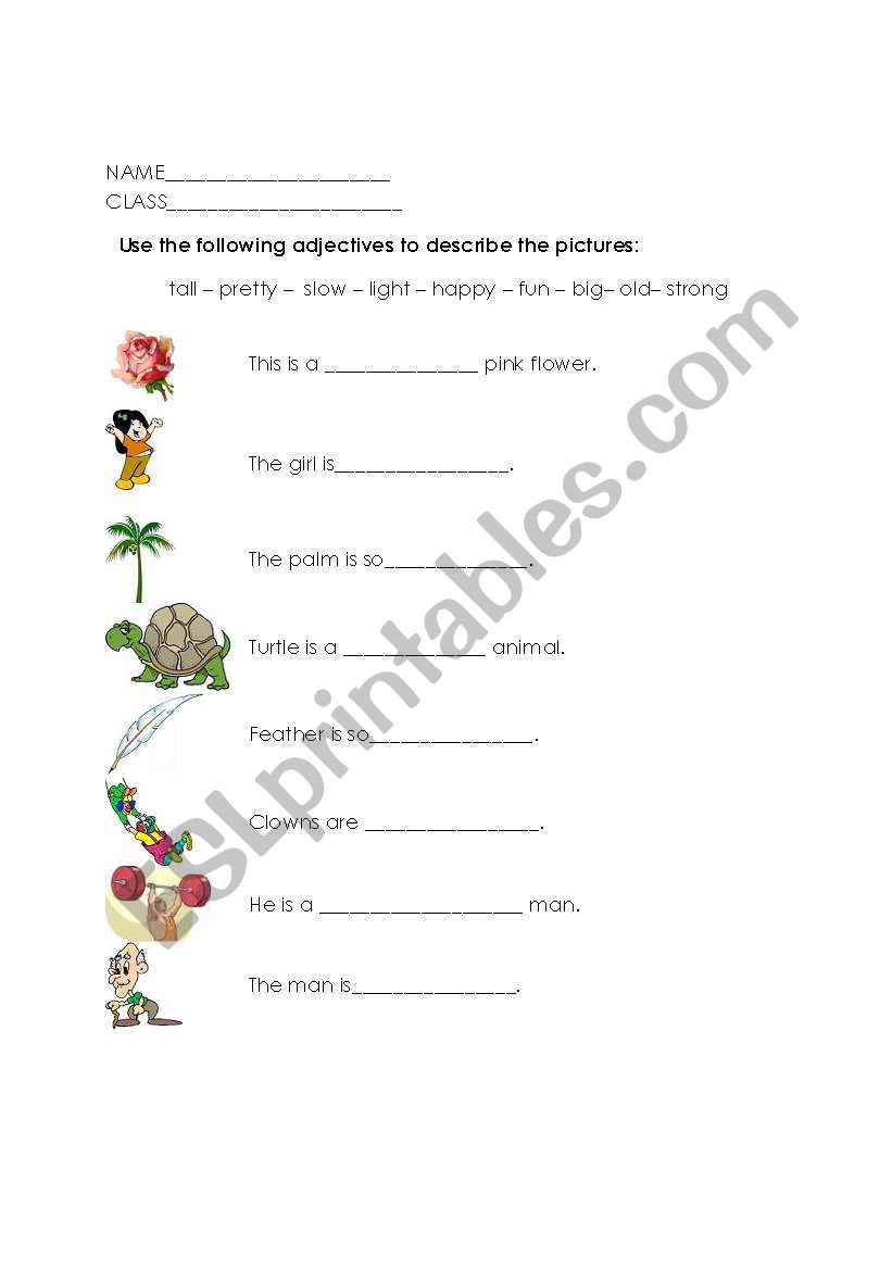 adjectives  worksheet