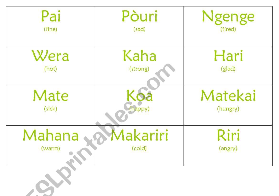 Maori Feelings Chart worksheet