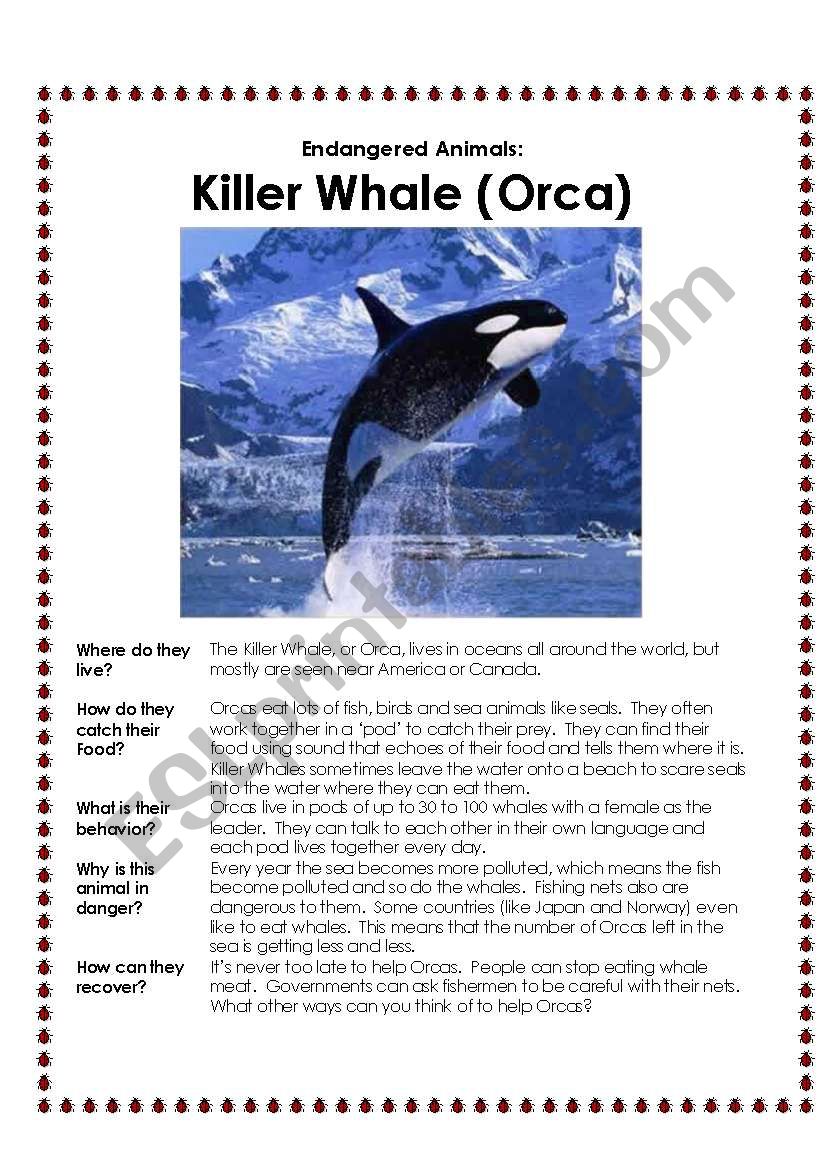 Endangered Animals Factfind worksheet