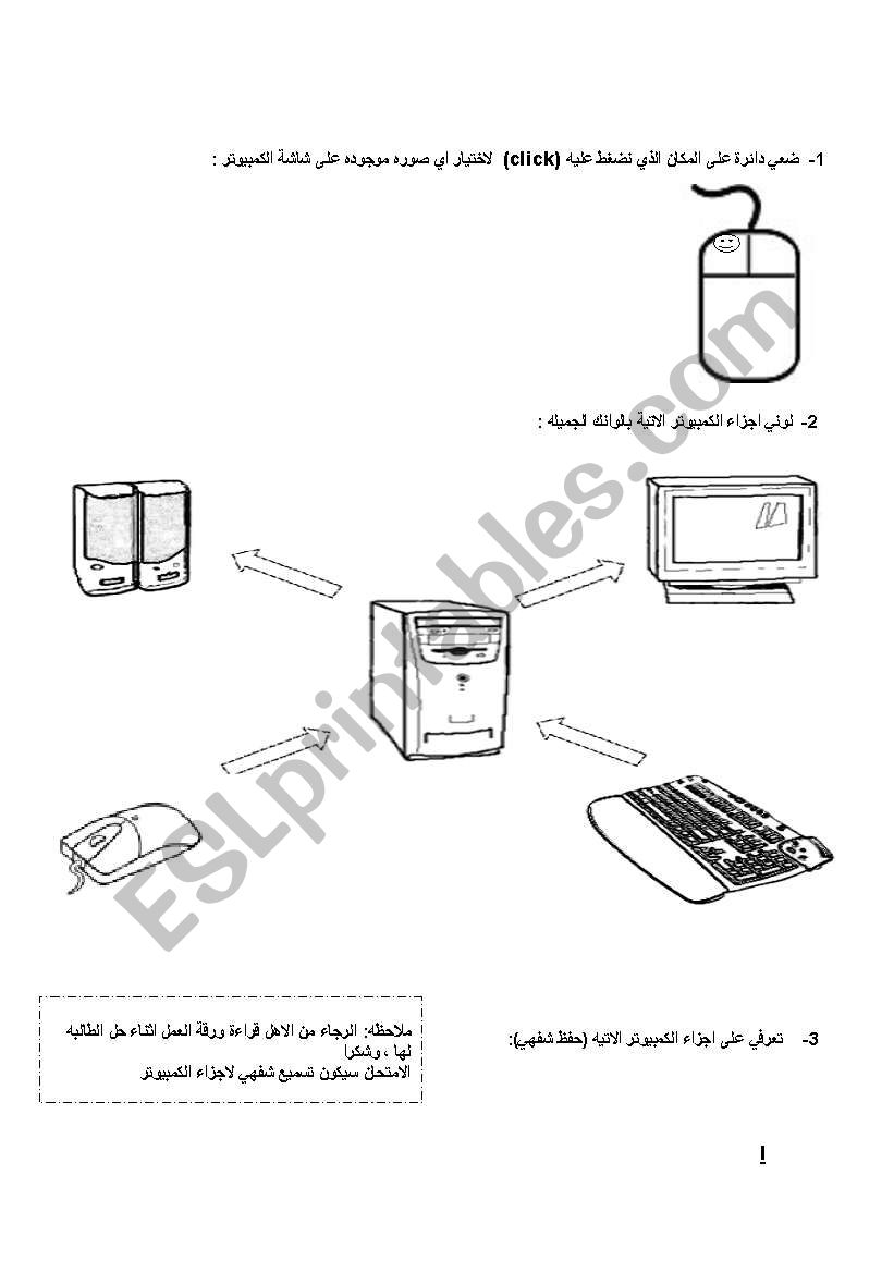 computer  worksheet