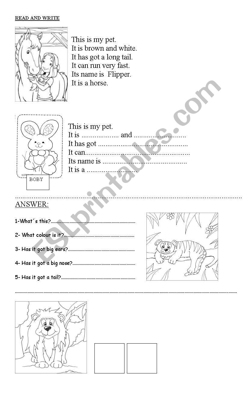 animals worksheet