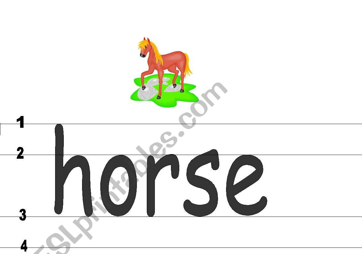 flash cards worksheet