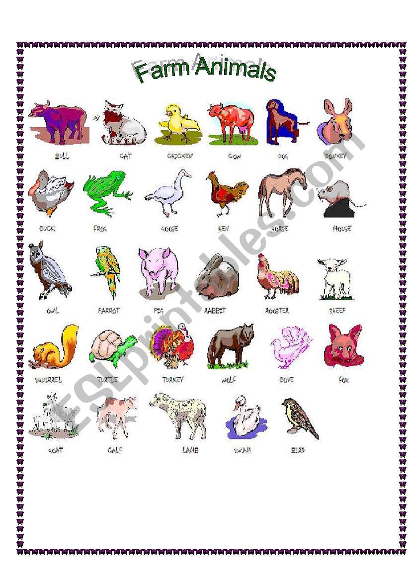 Farm animals worksheet