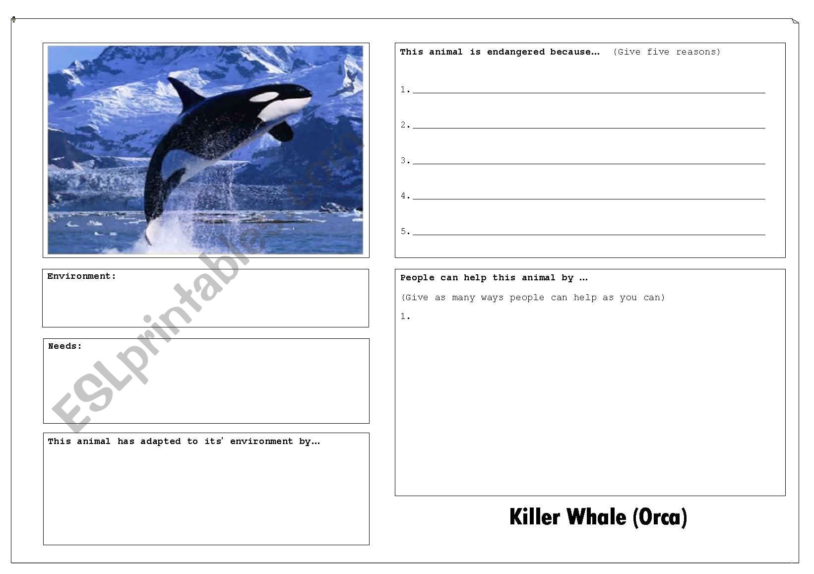 Endangered Animal Factfind Worksheets