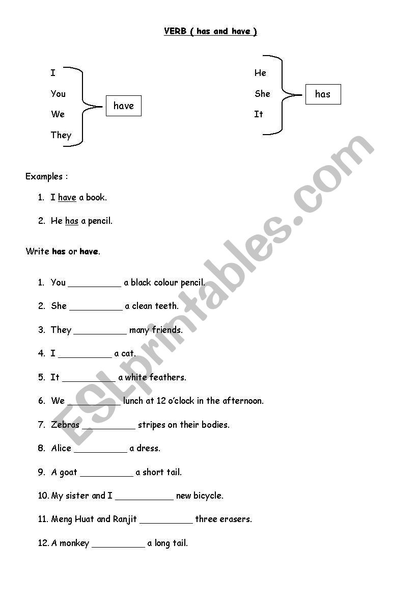 Verb ( has and have ) worksheet