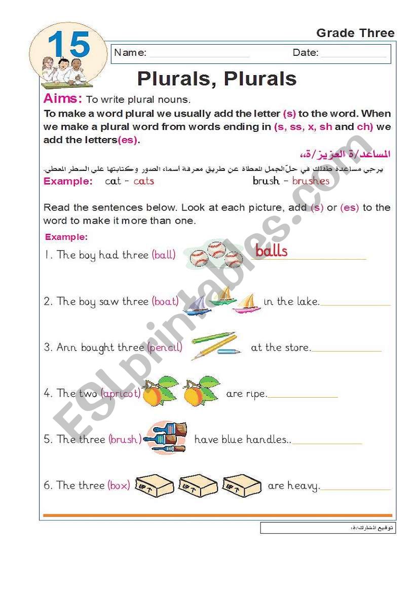 plurals worksheet