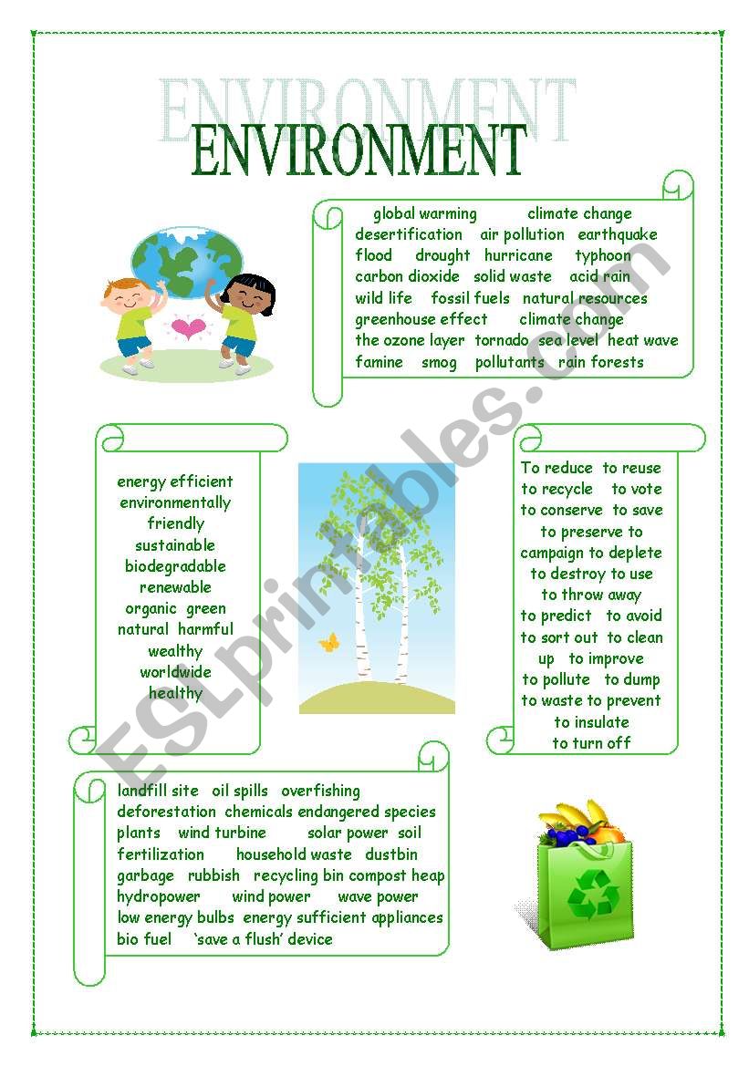 Environment Vocabulary worksheet