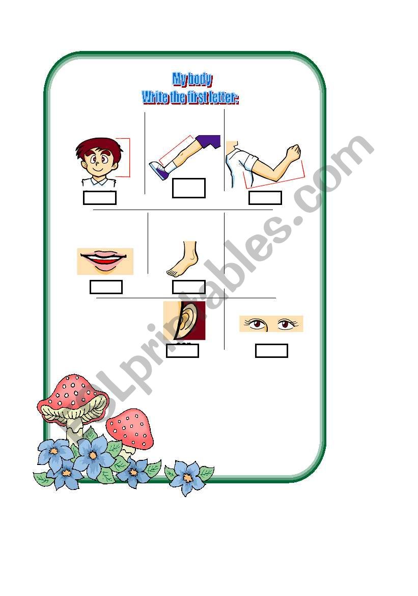 the body parts worksheet