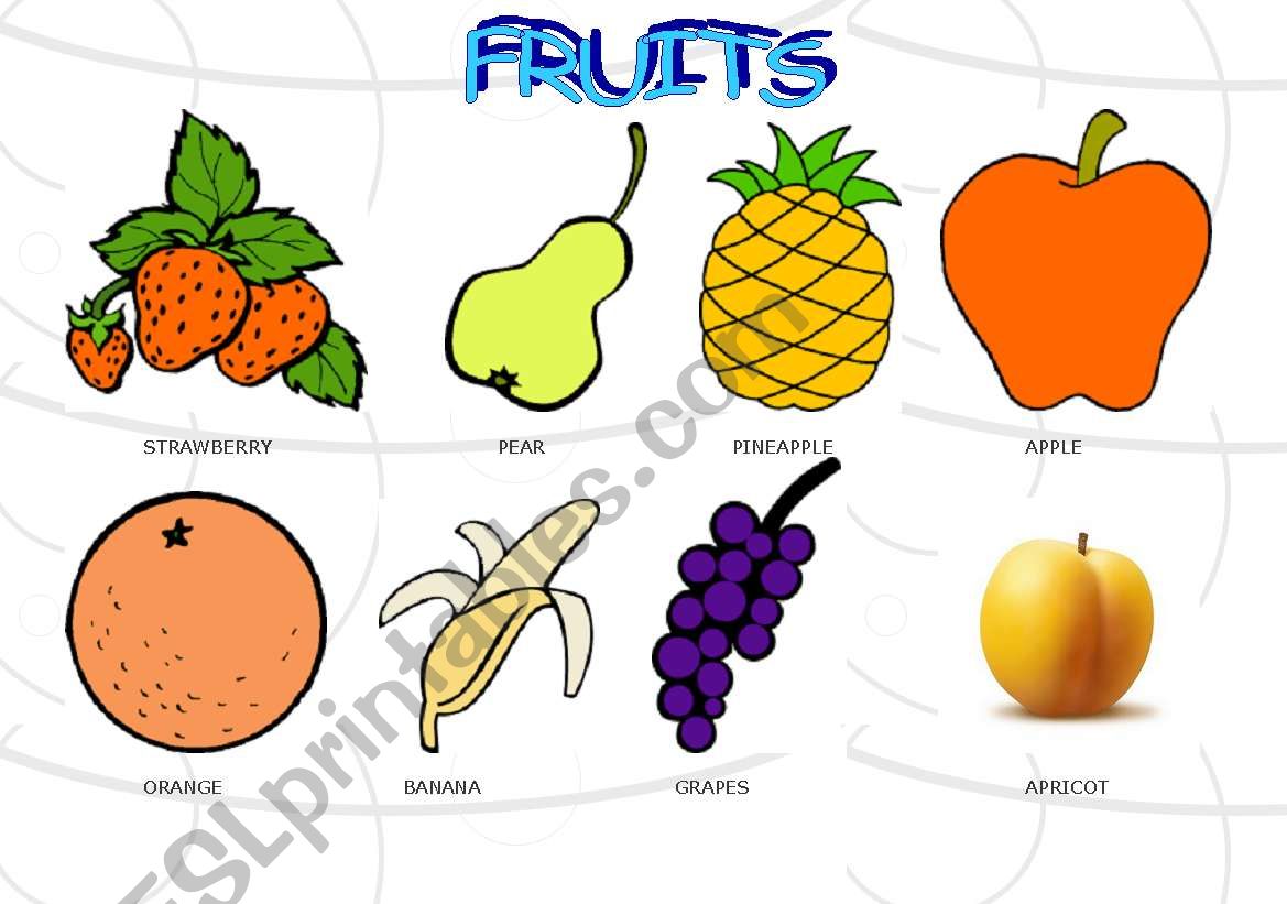 FRUITS worksheet