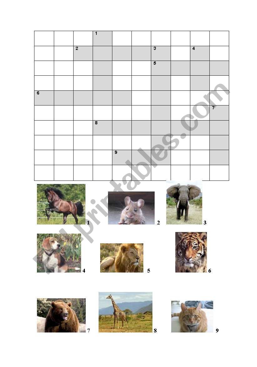 animal crossword worksheet