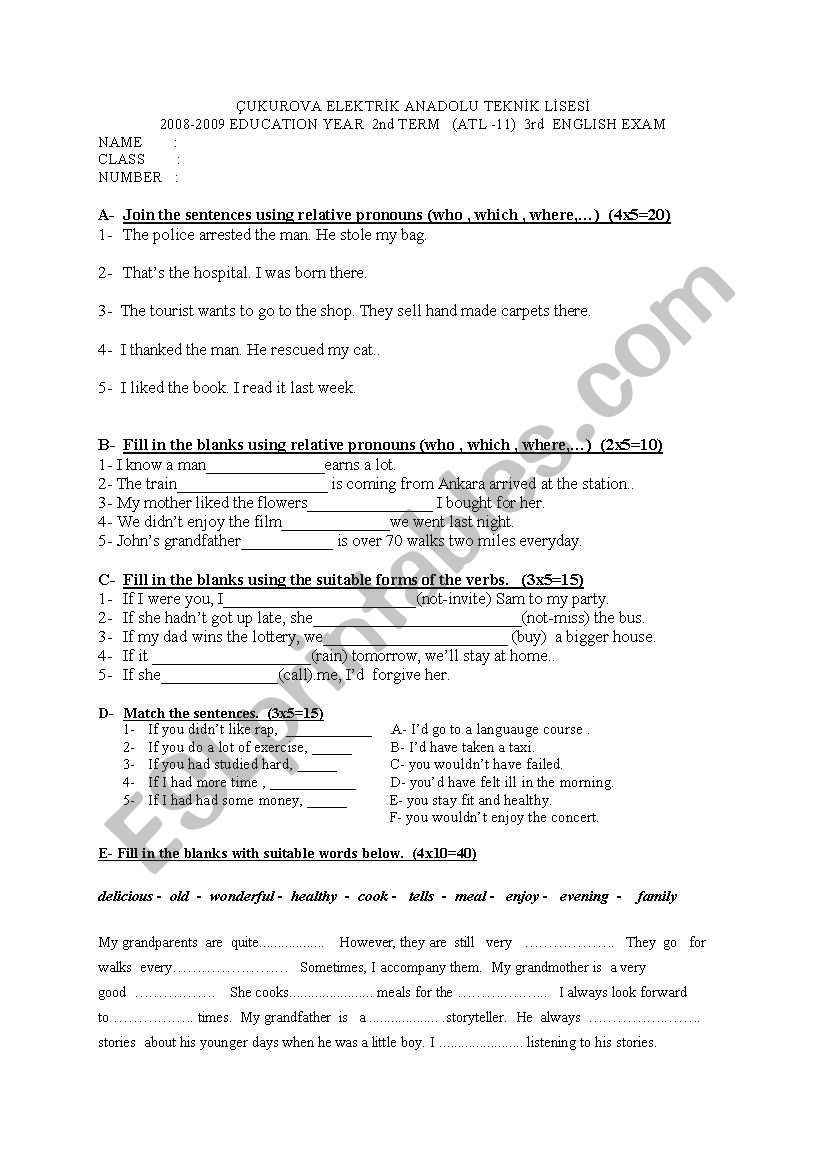 Relatives , Conditionals, general vocabulary