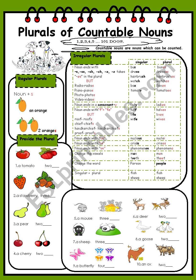 Plurals of Countable Nouns(1/3)