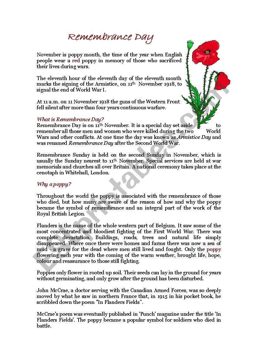 Remembrance Day worksheet