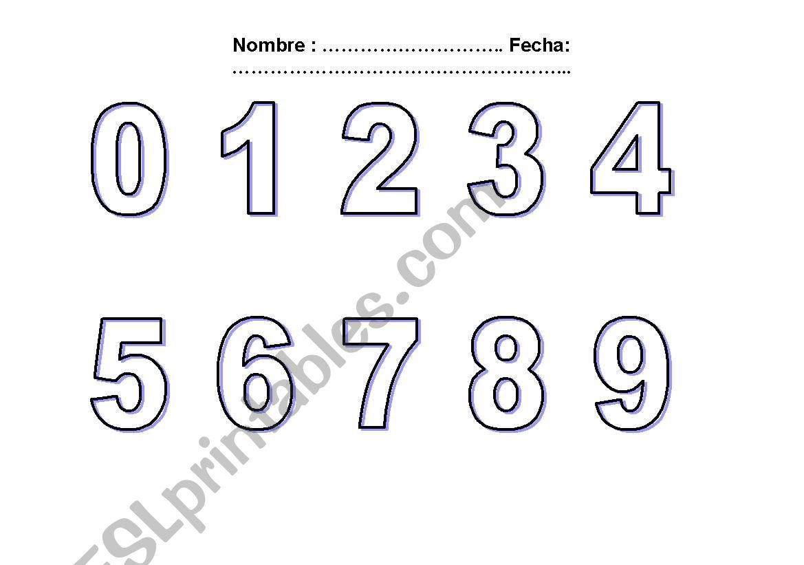 Numbers worksheet