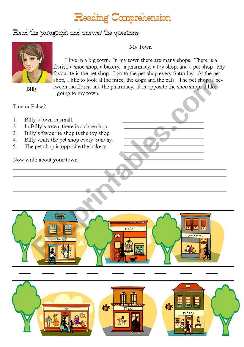 My Town Reading Comprehension worksheet