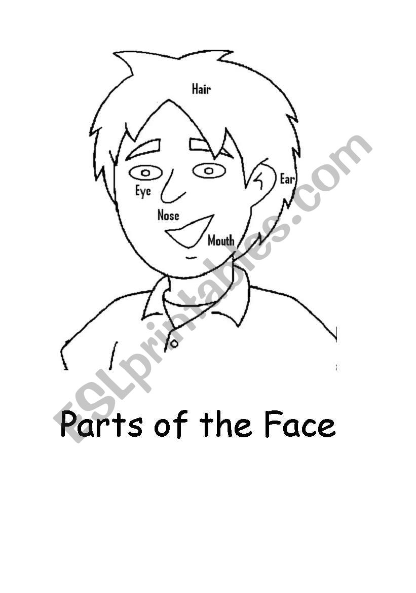Face parts worksheet