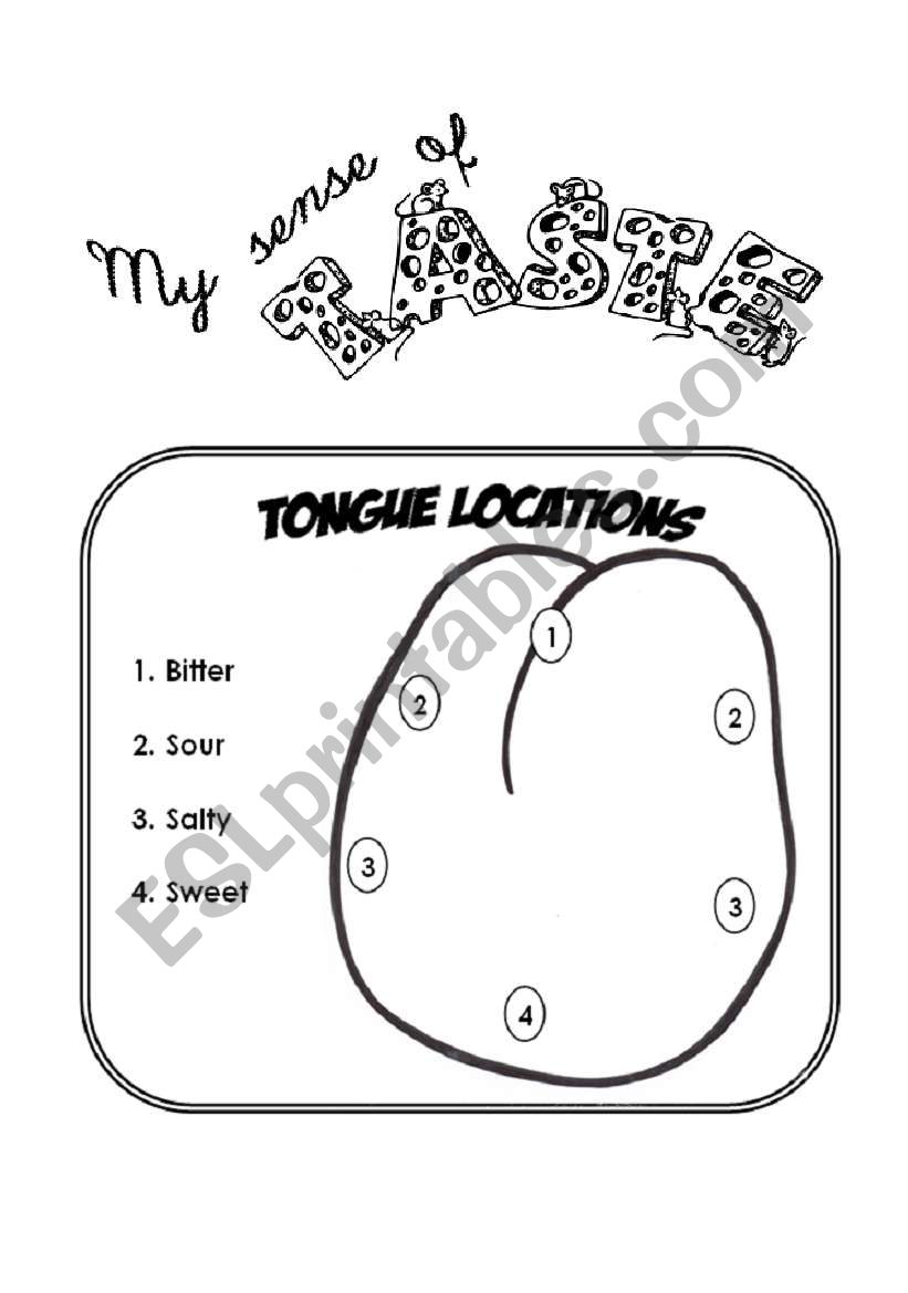 sense of taste worksheet