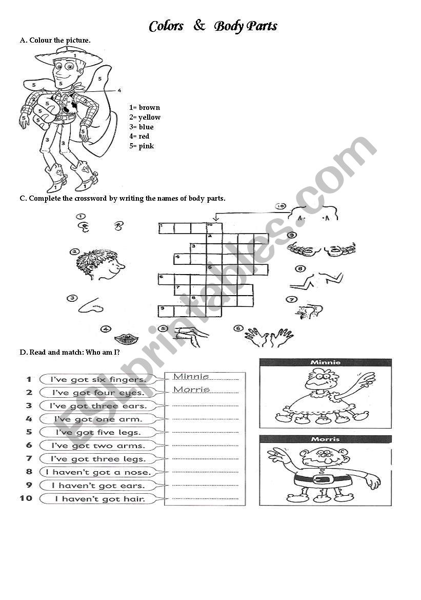 colors and body parts worksheet