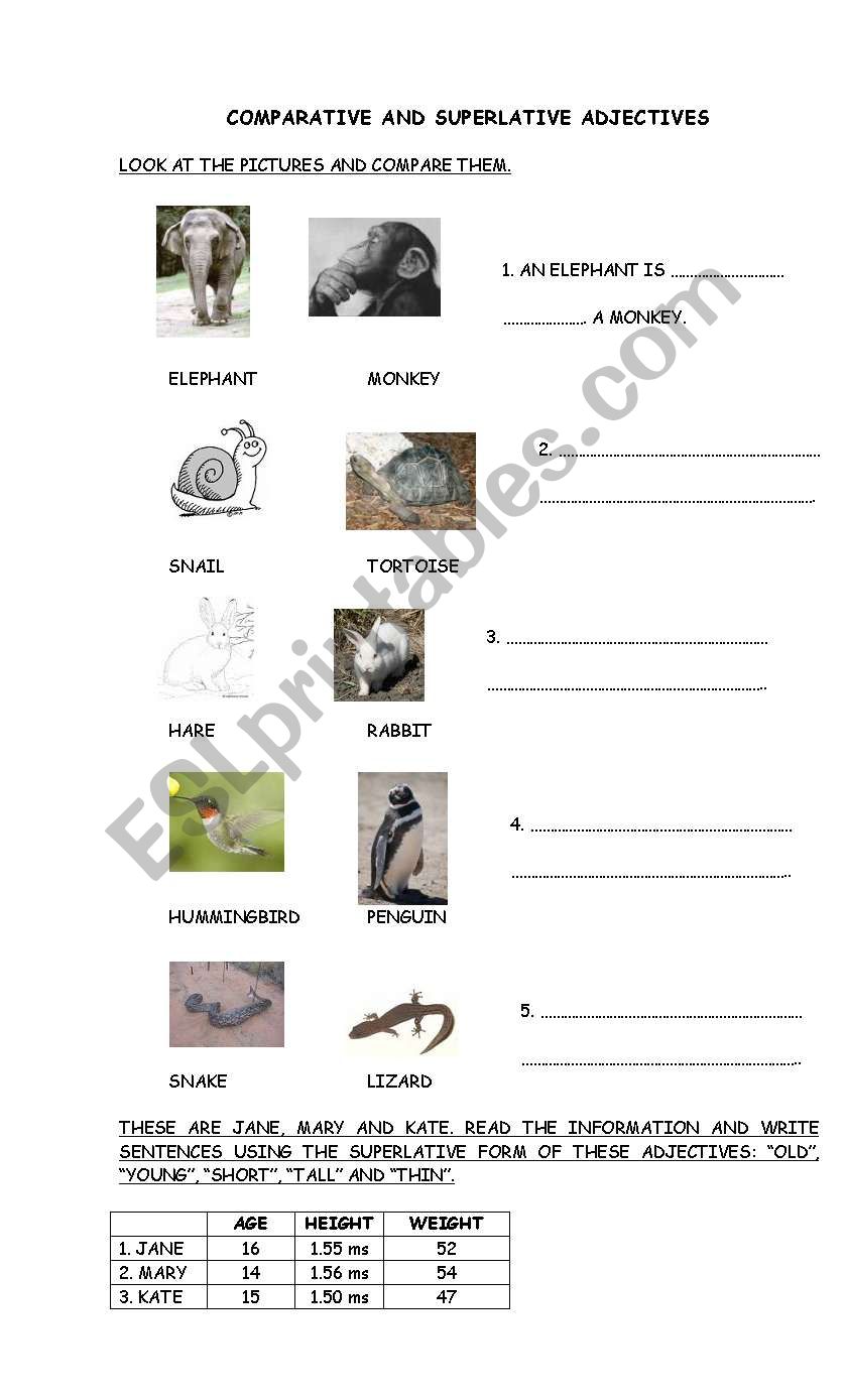 COMPARATIVE AND SUPERLATIVE ADJECTIVES