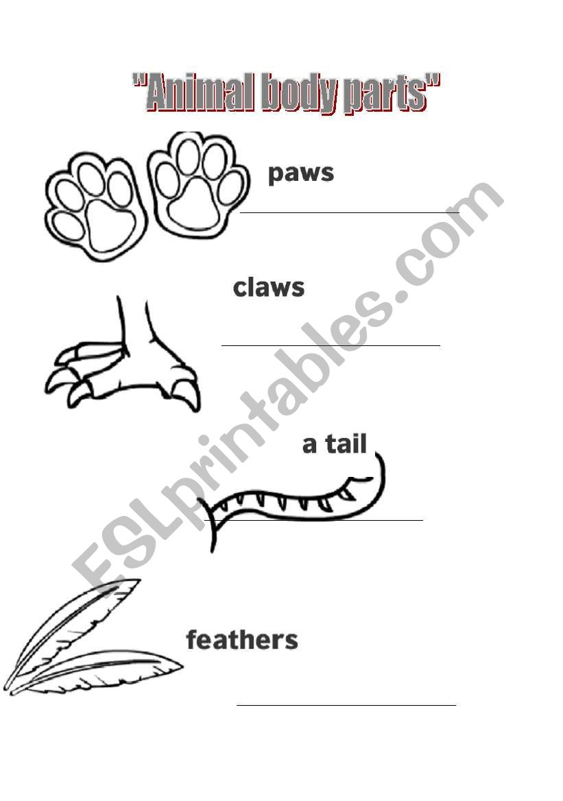 AMIMAL BODY PARTS worksheet