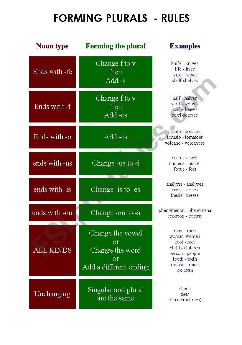 PLURALS - RULES worksheet