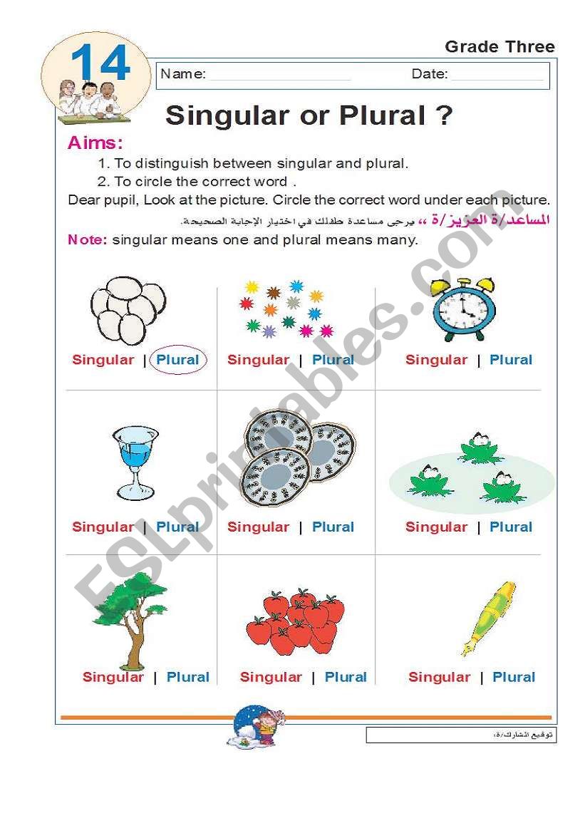 singular or plural worksheet