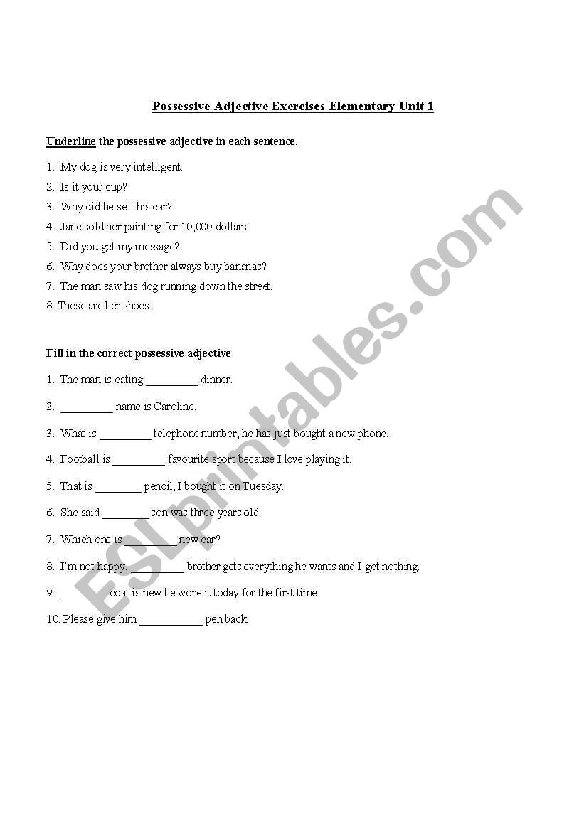 Possessive adjectives worksheet
