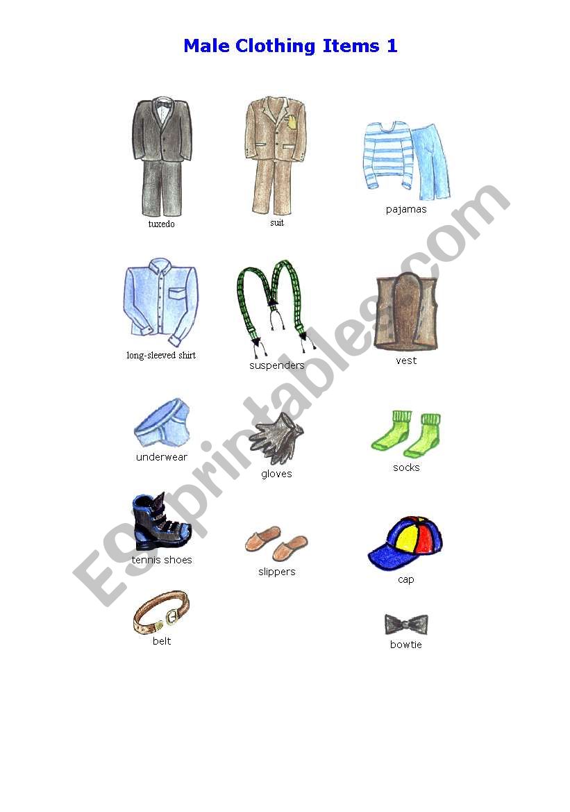 Male Clothing  worksheet