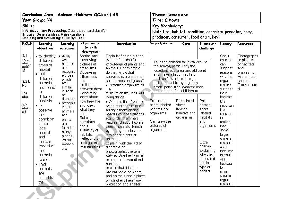 lesson plan worksheet