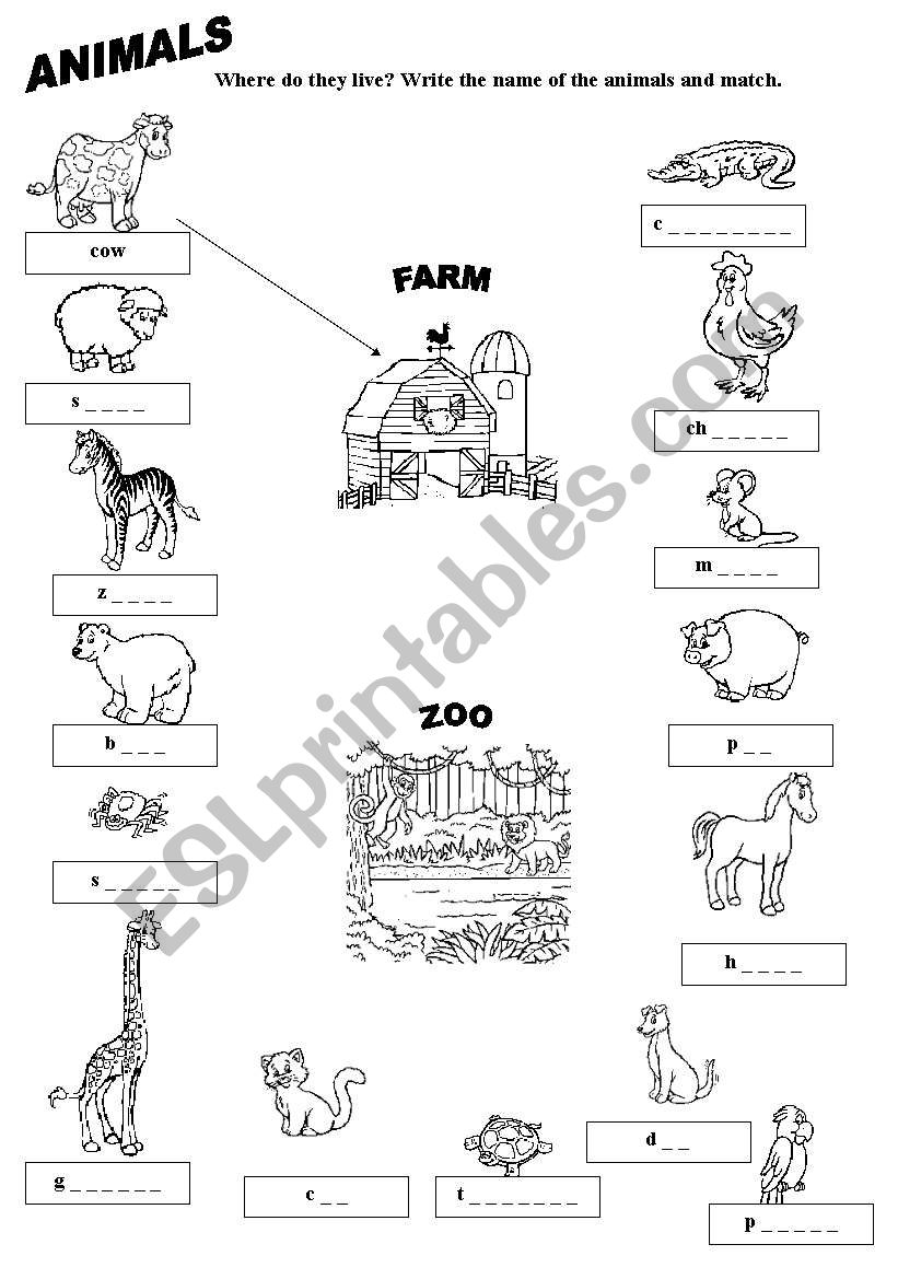 Animals worksheet