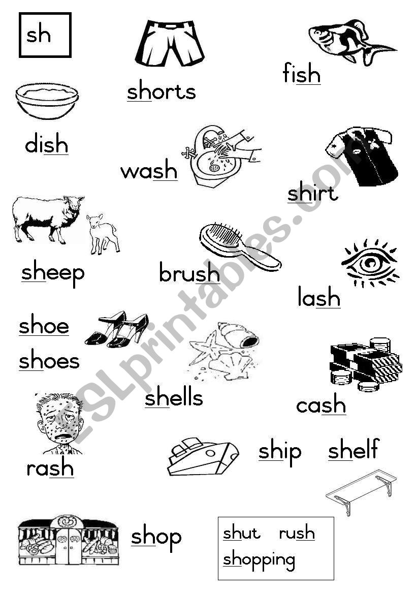 -sh Consonant diagraphs worksheet