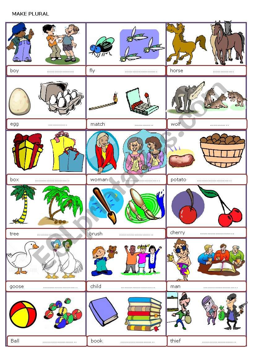 Plural of nouns worksheet