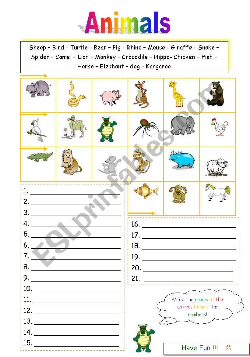 Worksheet Animals worksheet