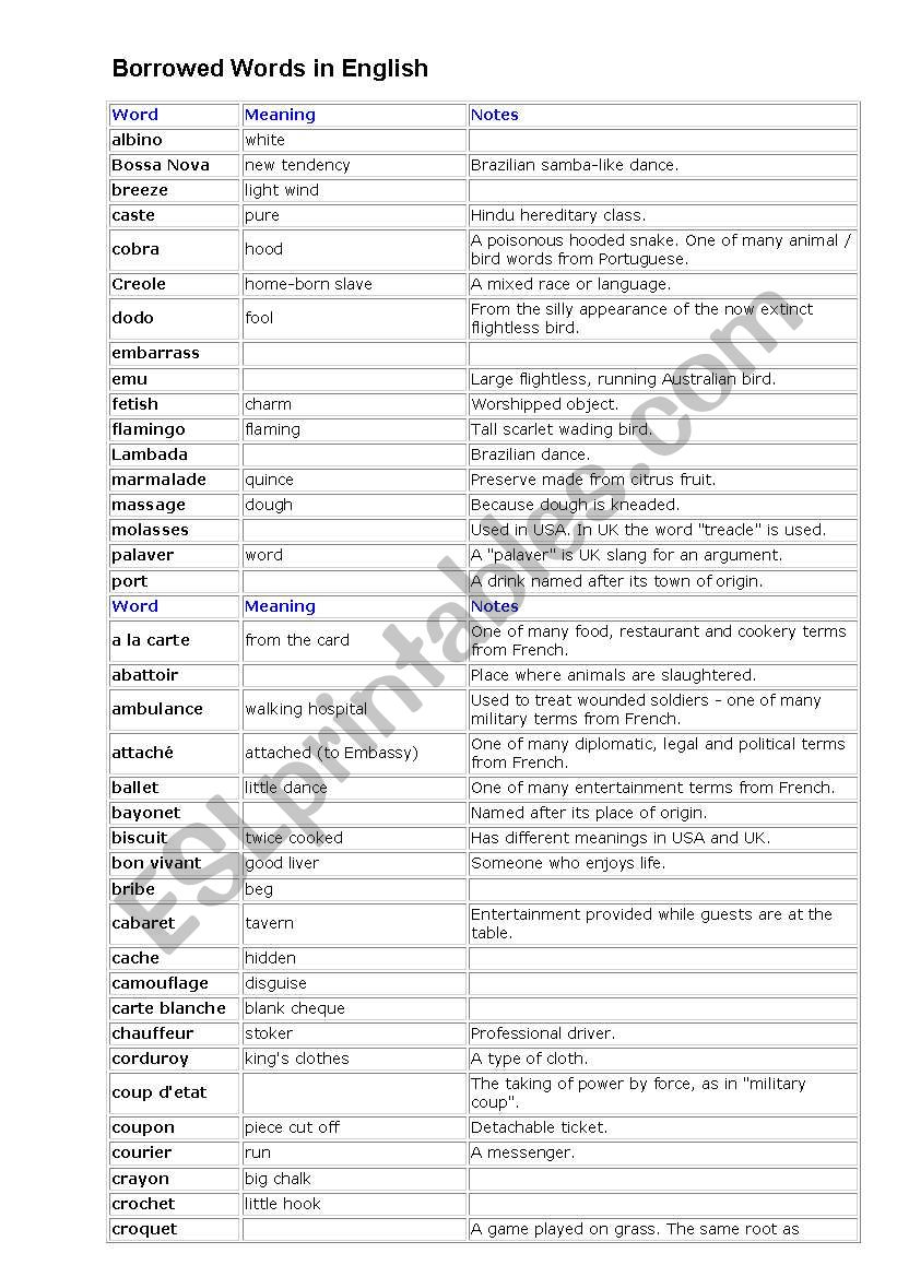 Borrowed Words In English Worksheet