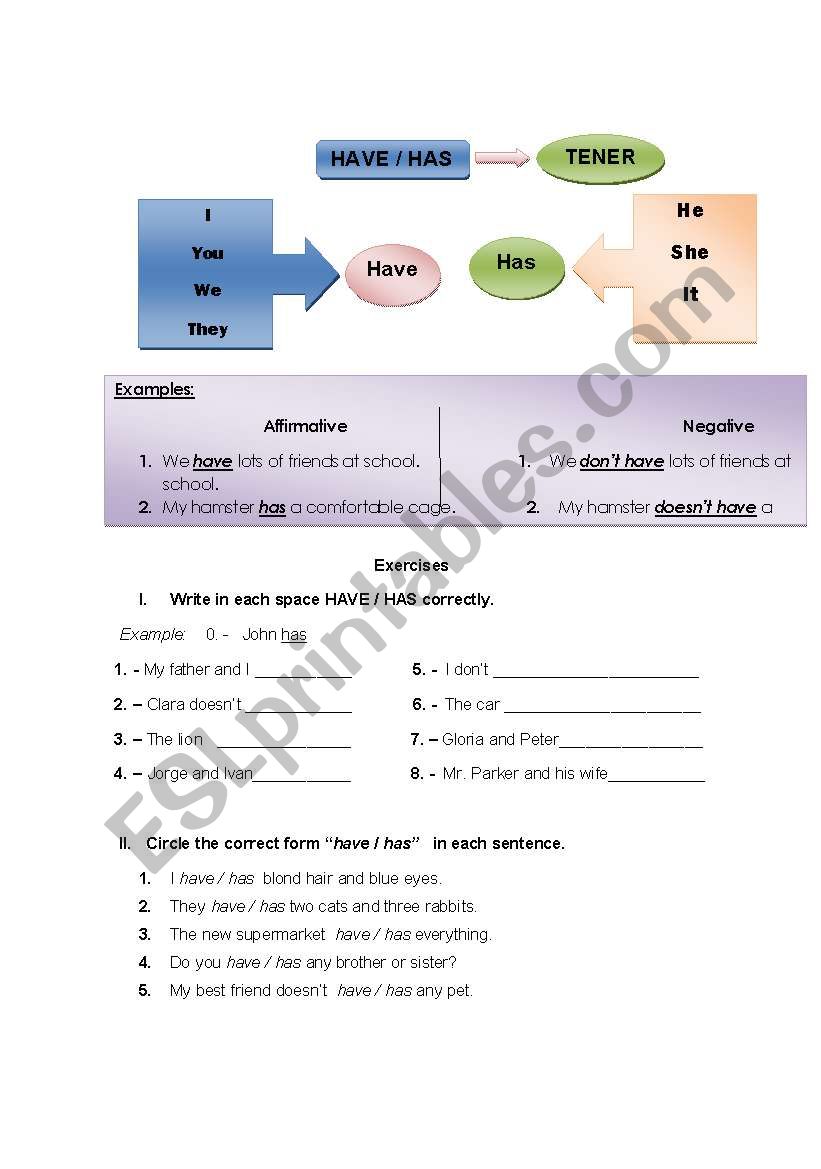 Use of have or has worksheet