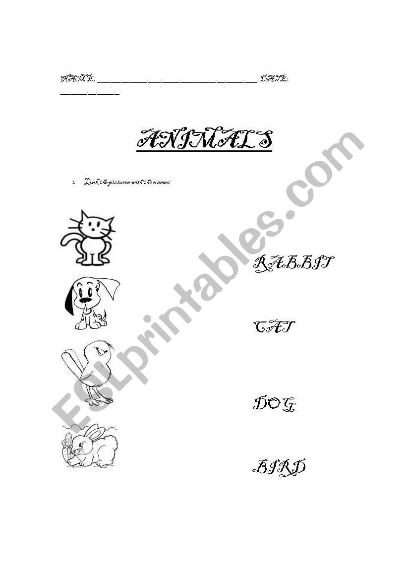 Animals worksheet