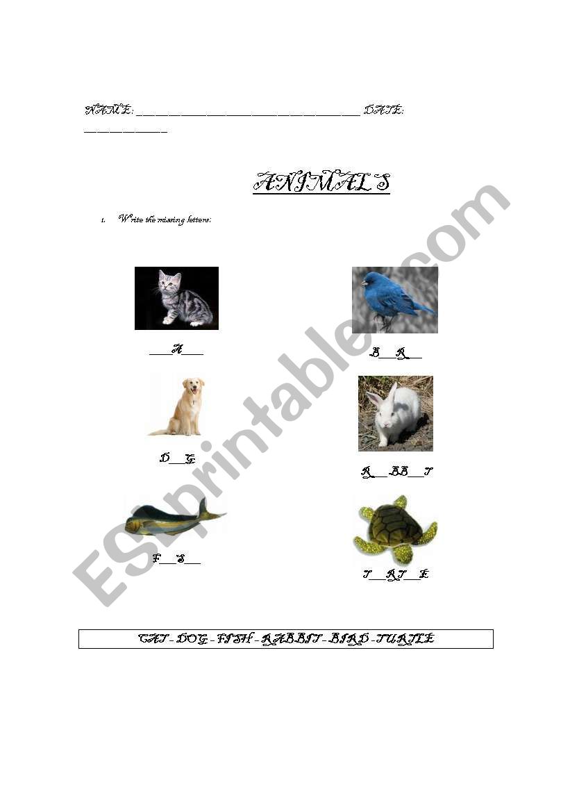 ANIMALS  worksheet