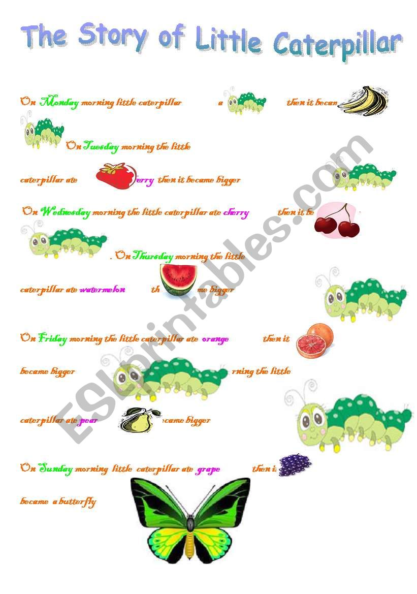 the story of little caterpillar