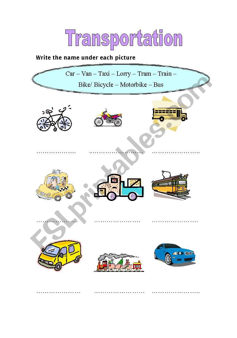 Transportation worksheet