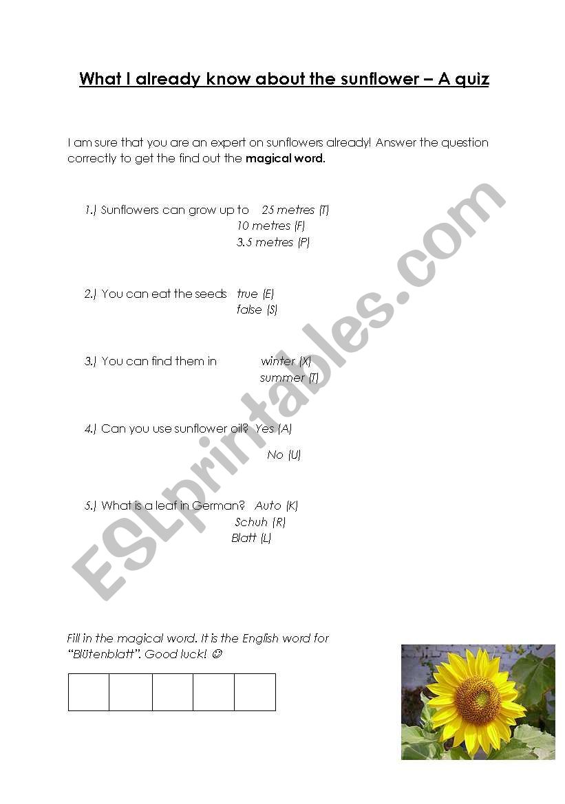 Sunflower quiz worksheet