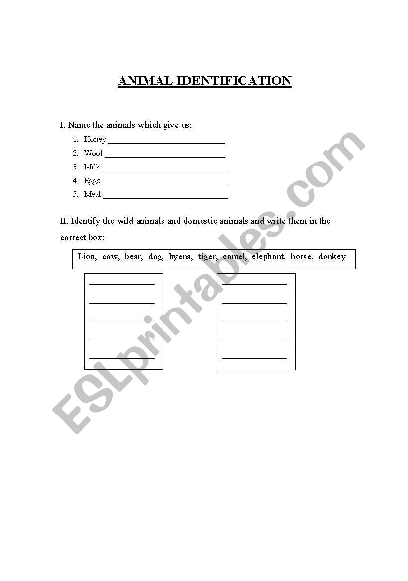 Animal identification  worksheet