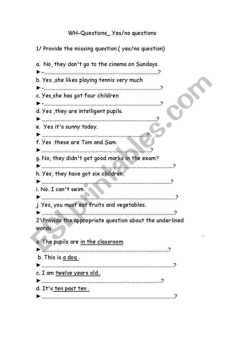 whyes -no questions worksheet